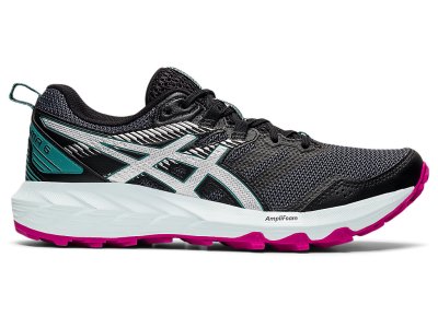 Asics Gel-sonoma 6 Tenisice Za Trčanje Ženske Crne Srebrne | RS8887-052
