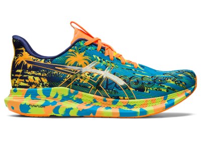 Asics Noosa Tri 14 Tenisiće Muške Plave Indigo Plave | RS9637-309